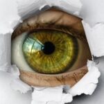 You are the target: how cybercriminals exploit people, not systems