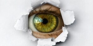You are the target: how cybercriminals exploit people, not systems